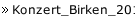 Konzert_Birken_2017